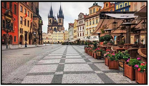 PAVRUS PY-XD65L8